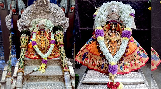 PalakheeSohala